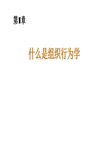 罗宾斯《组织行为学》中文12版与教材同步01