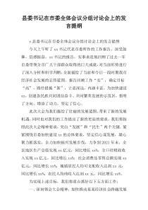 县委书记在市委全体会议分组讨论会上的发言提纲