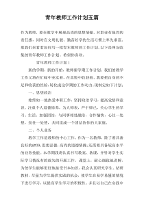 青年教师工作计划五篇