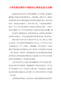 大学生参加领导干部培训心得体会范文多篇