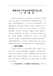 某乡红十字会会员代表大会上的【工作报告】