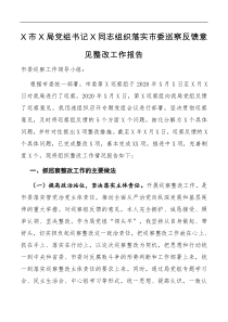 【工作报告】X市X局党组书记X同志组织落实市委巡察反馈意见整改工作报告