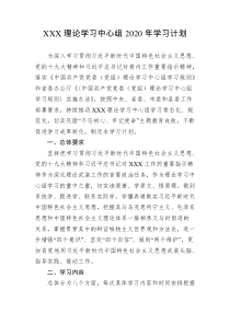 XXX理论学习中心组2020年学习计划