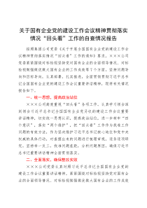 关于国有企业党的建设工作会议精神贯彻落实情况回头看工作的自查情况报告