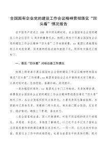 贯彻落实报告全国国有企业党的建设工作会议精神贯彻落实回头看情况报告范文工作汇报总结