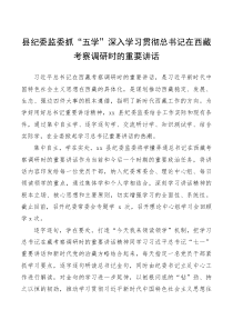 贯彻落实情况县纪委监委抓五学深入学习贯彻总书记在西藏考察调研时的重要讲话精神范文工作典型经验材料贯彻