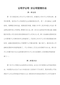 公司子公司分公司管理办法