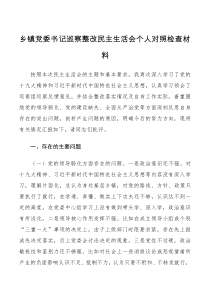 个人乡镇党委书记巡察整改民主生活会个人对照检查材料