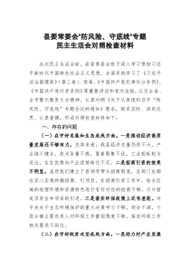 县委常委会防风险守底线专题民主生活会对照检查材料大智文秘网