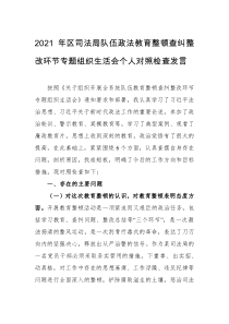 队伍政法教育整顿组织生活会个人对照检查发言