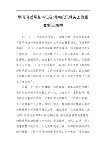 学习习近平总书记在河南抗汛救灾上的重要指示精神