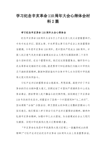 学习纪念辛亥革命110周年大会心得体会材料2篇