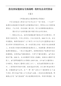 [党建经验]交流材料央企党的建设工作座谈会交流发言材料7篇[国企国有企业]