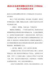 副县长在县委常委暨经济和项目工作推进会的工作总结范文发言