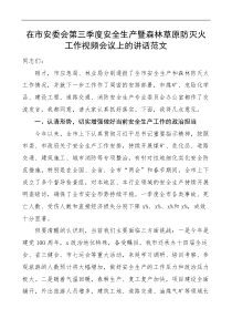 在市安委会第三季度安全生产暨森林草原防灭火工作视频会议上的讲话范文