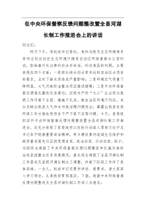 党办在中央环保督察反馈问题整改暨全县河湖长制工作推进会上的讲话