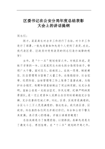 区委书记在公安分局年度总结表彰大会上的讲话提纲