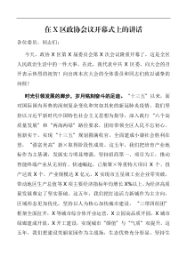 在X区政协会议开幕式上的讲话