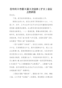 在中共X市委X届X次全体扩大会议上的讲话