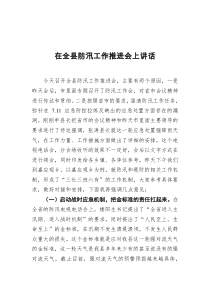 在全县防汛工作推进会上讲话