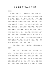 在全县项目工作会上的讲话