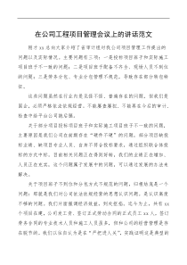 在公司工程项目管理会议上的讲话