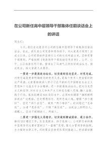 在公司新任高中层领导干部集体任前谈话会上的讲话