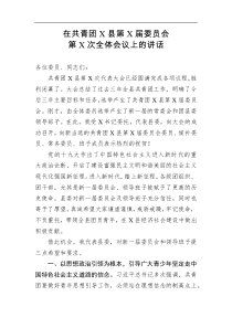 在共青团X县第X届委员会第X次全体会议上的讲话