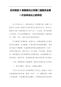 在共青团X有限责任公司第二届委员会第一次全体会议上的讲话