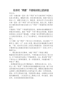 在农村两委干部培训班上的讲话