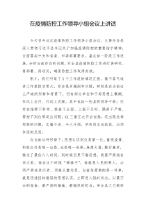 在疫情防控工作领导小组会议上讲话