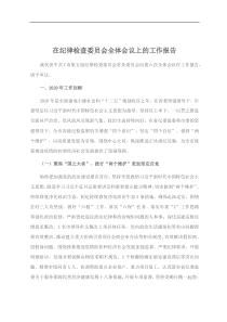 在纪律检查委员会全体会议上的工作报告