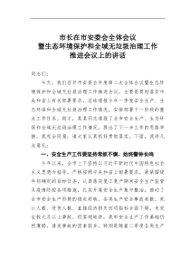 市长在市安委会全体会议暨生态环境保护和全域无垃圾治理工作推进会议上的讲话