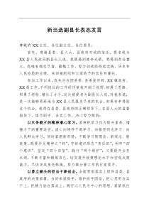 新当选副县长表态发言