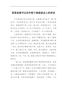 某某县委书记在年轻干部座谈会上的讲话