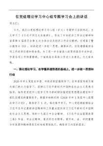 在党组理论学习中心组专题学习会上的讲话