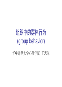 管理心理学第七章群体