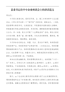 领导讲话县委书记在中小企业座谈会上的讲话范文企业家座谈会参考