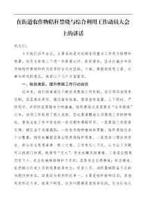 领导讲话在街道农作物秸秆禁烧与综合利用工作动员大会上的讲话