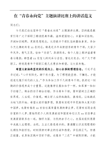 领导讲话在青春永向党主题演讲比赛上的讲话范文农信社青年干部演讲比赛