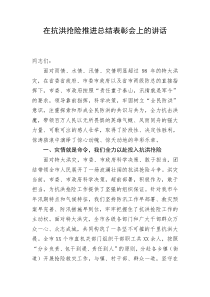 在抗洪抢险推进总结表彰会上的讲话