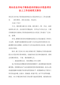 局长在全市电子商务进农村综合示范县项目会上工作总结范文报告