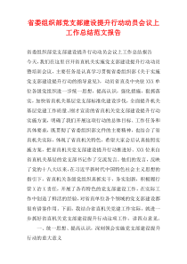 省委组织部党支部建设提升行动动员会议上工作总结范文报告