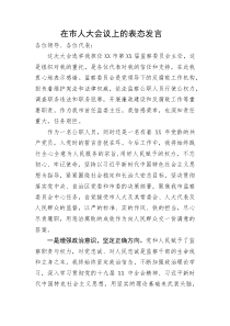 表态发言市监委主任在市人大会议上的表态发言