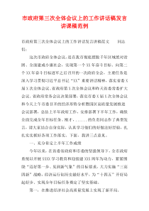 市政府第三次全体会议上的工作讲话稿发言讲课稿范例