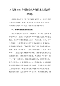 X党组2020年巡视整改专题民主生活会情况报告