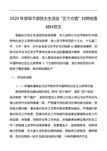 剖析材料2020年领导干部民主生活会五个方面对照检查材料范文