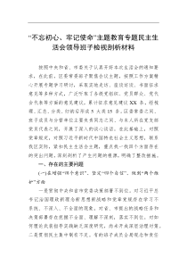 剖析材料不忘初心牢记使命主题教育专题民主生活会领导班子检视剖析材料