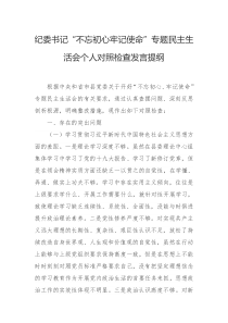 剖析材料纪委书记不忘初心牢记使命专题民主生活会个人对照检查发言提纲