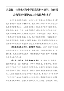 常态化长效化抓好中华民族共同体意识全面提高做好新时代民族工作的能力和水平加强和改进民族工作专题民主生